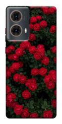 Чехол itsPrint Eternal roses для Motorola Moto G85