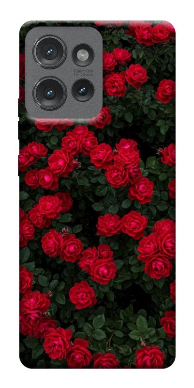Чехол itsPrint Eternal roses для Motorola Edge 50, цветы, купить оптом с доставкой