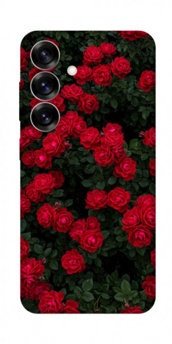 Чохол itsPrint Eternal roses для Samsung Galaxy S25+