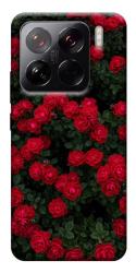Чехол itsPrint Eternal roses для Xiaomi 15 Pro