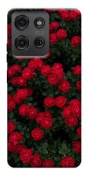 Чехол itsPrint Eternal roses для Motorola Moto G75 5G