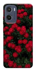 Чехол itsPrint Eternal roses для Motorola Moto G05