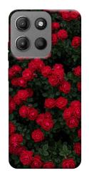 Чехол itsPrint Eternal roses для Motorola Moto G15 4G