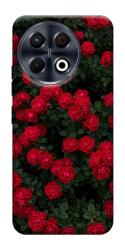 Чохол itsPrint Eternal roses для TECNO Spark 30 Pro (KL7)