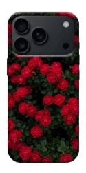 Чехол itsPrint Eternal roses для Apple iPhone 17 Pro Max (6.9")