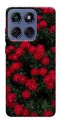 Чехол itsPrint Eternal roses для Motorola Edge 60 Fusion