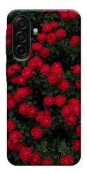 Чехол itsPrint Eternal roses для Samsung Galaxy A17 5G/4G