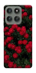 Чехол itsPrint Eternal roses для Motorola Edge 60 Pro