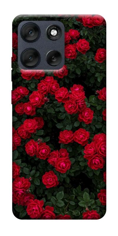Чехол itsPrint Eternal roses для Motorola Moto G56 5G, цветы, купить оптом с доставкой