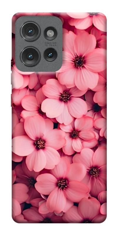 Чехол itsPrint Pink flowers для Motorola Edge 50, цветы, купить оптом с доставкой