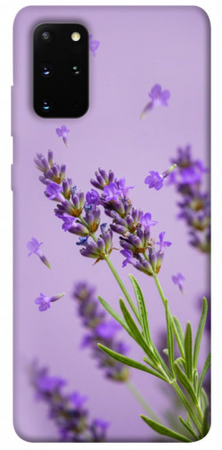 Чохол itsPrint Lavender purple для Samsung Galaxy S20+