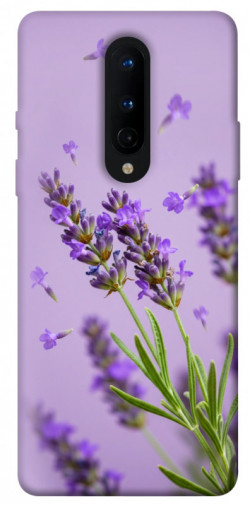 Чохол itsPrint Lavender purple для OnePlus 8