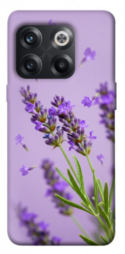 Чехол itsPrint Lavender purple для OnePlus 10T