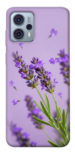 Чохол itsPrint Lavender purple для Motorola Moto G23