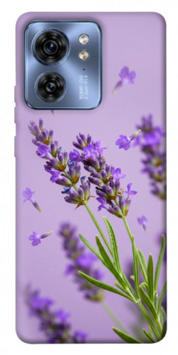 Чехол itsPrint Lavender purple для Motorola Edge 40