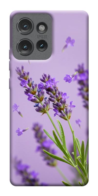 Чехол itsPrint Lavender purple для Motorola Edge 50, цветы, купить оптом с доставкой