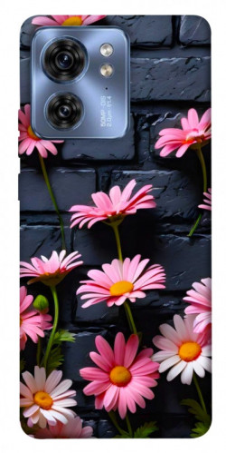 Чехол itsPrint Розовый контраст для Motorola Edge 40