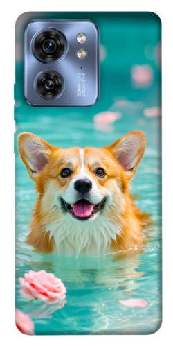 Чехол itsPrint Swimming corgi для Motorola Edge 40