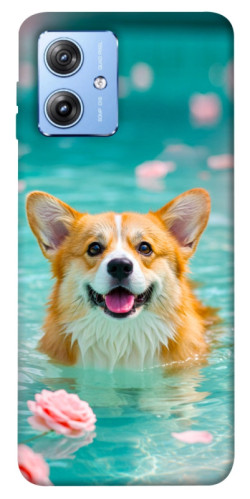 Чехол itsPrint Swimming corgi для Motorola Moto G84