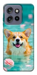 Чехол itsPrint Swimming corgi для Motorola Edge 50 Neo