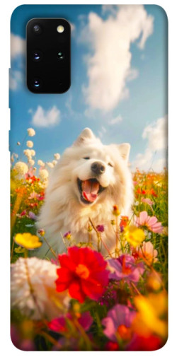 Чохол itsPrint Happy dog in flowers для Samsung Galaxy S20+