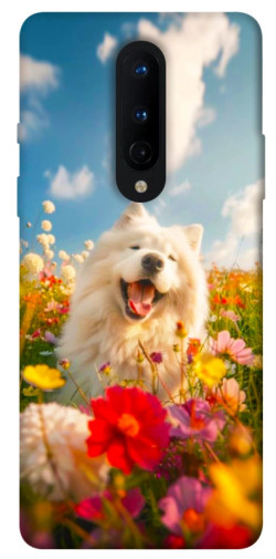 Чехол itsPrint Happy dog in flowers для OnePlus 8