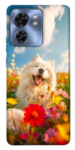 Чохол itsPrint Happy dog in flowers для Motorola Edge 40
