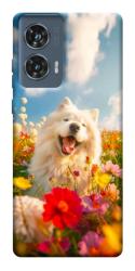 Чехол itsPrint Happy dog in flowers для Motorola Edge 50 Fusion