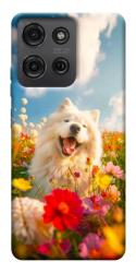 Чехол itsPrint Happy dog in flowers для Motorola Moto G75 5G