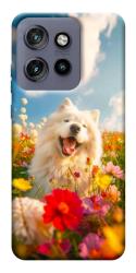 Чехол itsPrint Happy dog in flowers для Motorola Edge 50 Neo