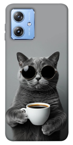 Чехол itsPrint Grey cat coffee для Motorola Moto G84