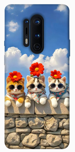 Чехол itsPrint Flower cats для OnePlus 8 Pro