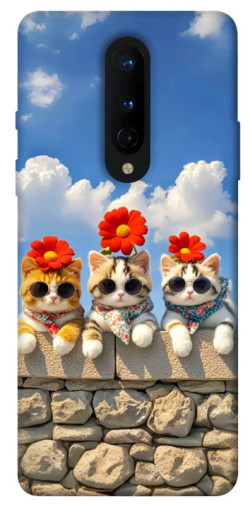 Чехол itsPrint Flower cats для OnePlus 8