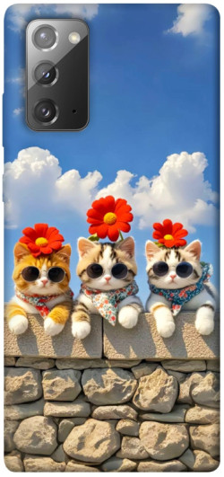 Чехол itsPrint Flower cats для Samsung Galaxy Note 20