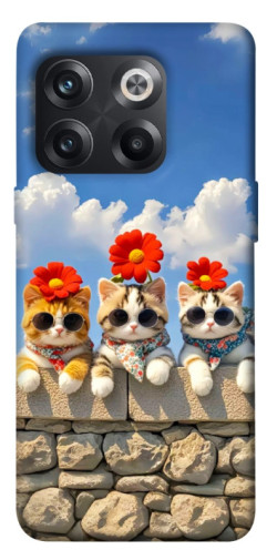 Чехол itsPrint Flower cats для OnePlus 10T