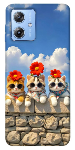 Чехол itsPrint Flower cats для Motorola Moto G84