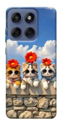 Чохол itsPrint Flower cats для Motorola Edge 60 Fusion