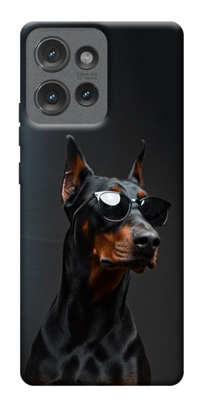 Чехол itsPrint Cool doberman для Motorola Edge 50, животные, купить оптом с доставкой
