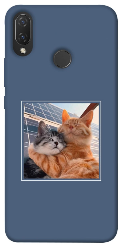 Чехол itsPrint Кошачья нежность для Huawei P Smart+ (nova 3i), животные, купить оптом с доставкой