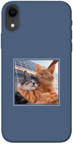 Чехол itsPrint Кошачья нежность для Apple iPhone XR (6.1")