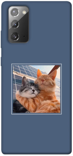 Чехол itsPrint Кошачья нежность для Samsung Galaxy Note 20