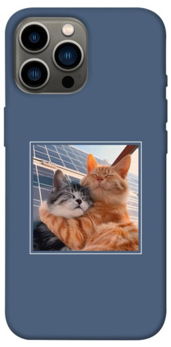 Чехол itsPrint Кошачья нежность для Apple iPhone 13 Pro Max (6.7")