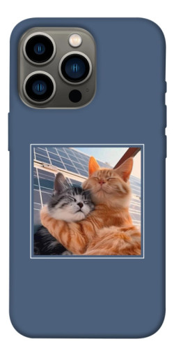 Чехол itsPrint Кошачья нежность для Apple iPhone 13 Pro (6.1")