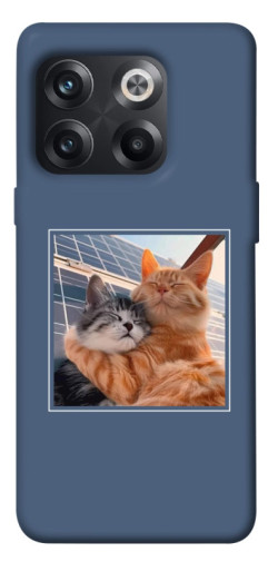 Чехол itsPrint Кошачья нежность для OnePlus 10T