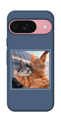 Чехол itsPrint Кошачья нежность для Google Pixel 9