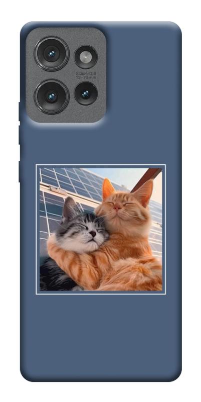 Чехол itsPrint Кошачья нежность для Motorola Edge 50, животные, купить оптом с доставкой