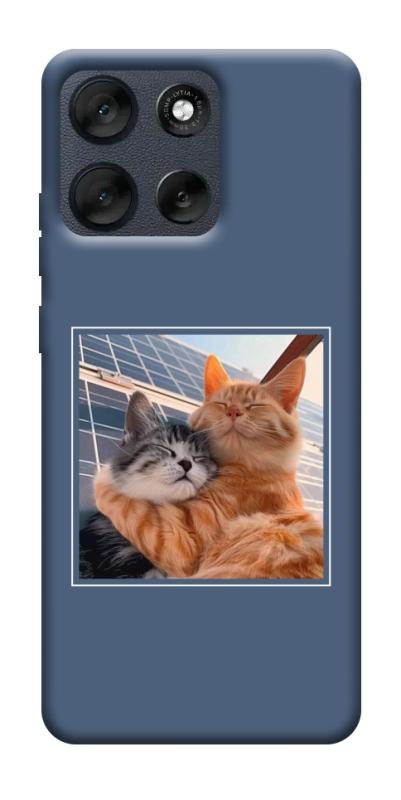 Чехол itsPrint Кошачья нежность для Motorola Moto G56 5G, животные, купить оптом с доставкой