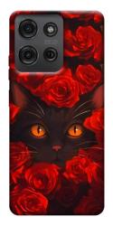 Чехол itsPrint Rose cat для Motorola Moto G75 5G