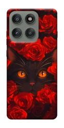 Чехол itsPrint Rose cat для Motorola Edge 60 Pro