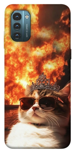 Чохол itsPrint Cat explosion для Nokia G21
